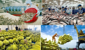 Xuất khẩu nông sản 2024: Kỷ lục mới