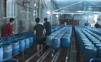Vụ 3.000 tấn giá đỗ 