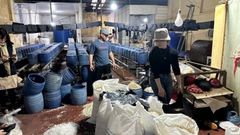 Khởi tố chủ cơ sở sản xuất dùng hóa chất tăng trưởng sản xuất giá đỗ
