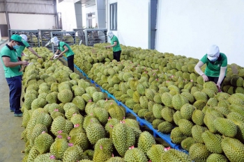 Việt Nam thuộc TOP 30 nước tăng trưởng thương mại cao nhất