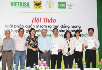 'Gạo Việt Nam xanh phát thải thấp': Bước tiến mới cho ngành lúa gạo