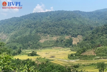 Các trường hợp khác được miễn, giảm tiền sử dụng đất, tiền thuê đất