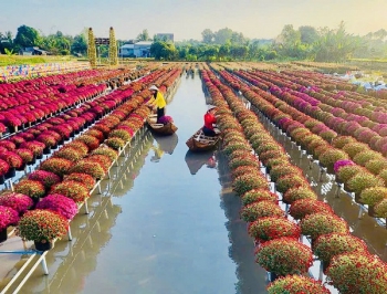 Festival Hoa-Kiểng Sa Đéc 2025: Bứt phá để khẳng định thương hiệu du lịch quốc tế