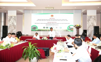 Đề án 1 triệu ha lúa chất lượng cao: Cuộc cách mạng nông nghiệp cho ĐBSCL