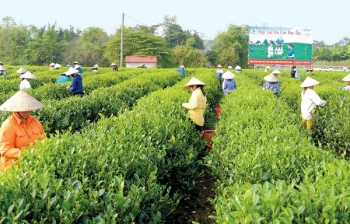 Sửa đổi một số quy định về cài đặt, tổ chức và hoạt động của Quỹ hỗ trợ phát triển hợp tác xã