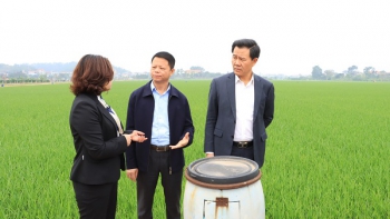 Mô hình chính quyền hai cấp: Tăng hiệu lực thực thi pháp luật môi trường từ thành phố đến cơ sở