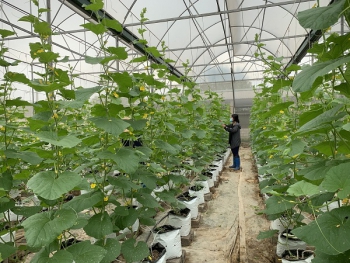 Từ phòng thí nghiệm ra đồng ruộng: Đưa KHCN phục vụ nông nghiệp, nông dân