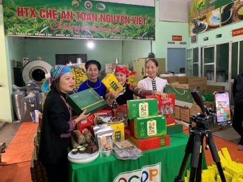 Đẩy mạnh chuyển đổi số hộ kinh doanh từ mô hình thí điểm Thái Nguyên