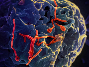 Bộ Y tế thông tin diễn biến phức tạp của dịch bệnh do virus Ebola