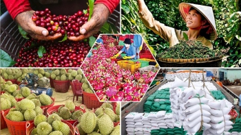 Tiêu chí đánh giá, phân hạng sản phẩm OCOP