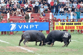 Lộ diện 15 