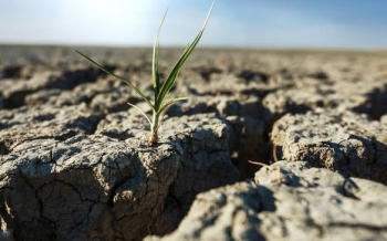 LHQ cảnh báo El Nino có thể đạt đỉnh từ tháng 9-12, tác động kéo dài sang năm 2027