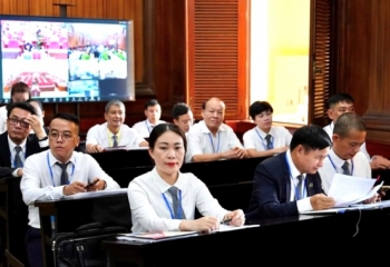 Quy định chi tiết về việc thí điểm thực hiện chế định luật sư công