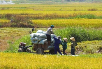 Quy định về xác định xuất xứ Việt Nam đối với hàng hóa sản xuất và lưu thông trong nước