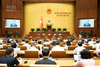 Quốc hội nghe báo cáo 3 dự án luật về đấu giá tài sản, nuôi con nuôi và luật sư