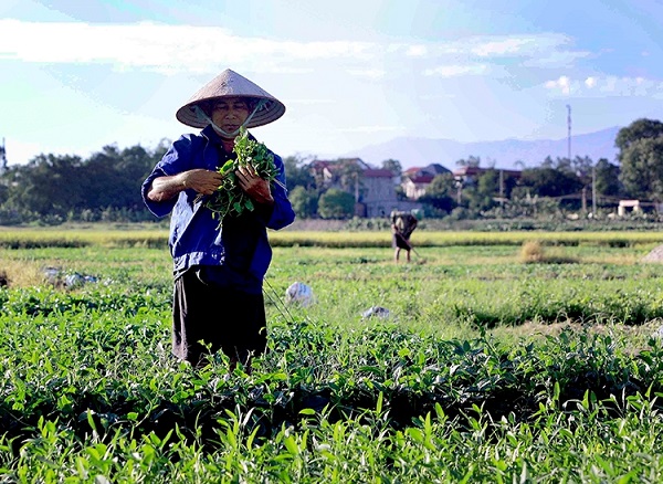 Bắc Bộ nắng nóng trước khi đón mưa dông, Nam Bộ mưa to cục bộ