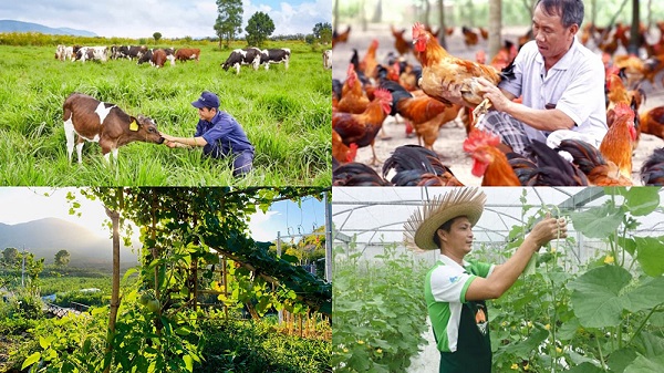Chính sách mới có hiệu lực từ tháng 8/2026