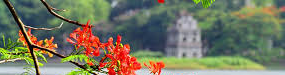/uploads/images/banner/hoa-phuong.png